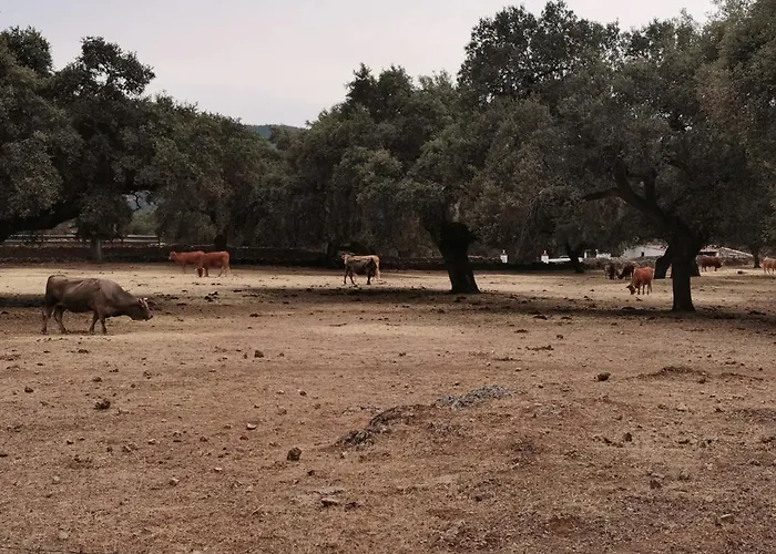 Casa Rural Canaveral De Leon